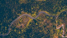 Aerial Photography of Road Beside Forest