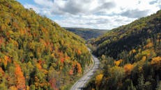 Forêt Québec